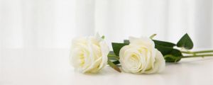 21朵白玫瑰的花语